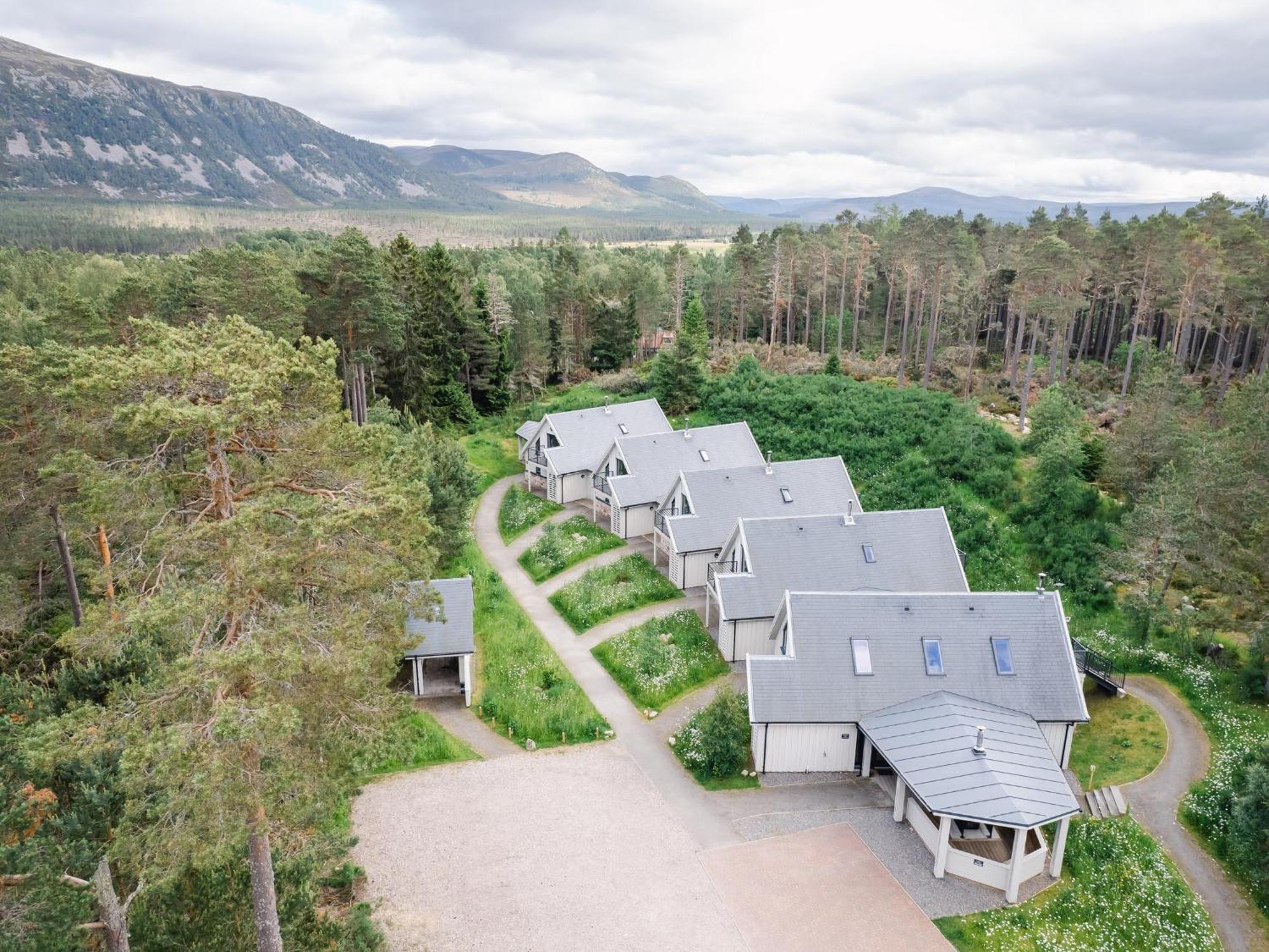 קינגוסי Golden Eagle Lodge מראה חיצוני תמונה