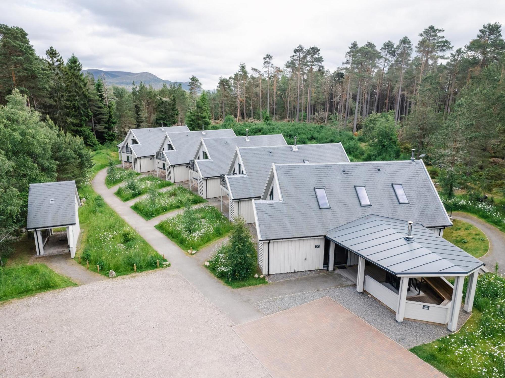 קינגוסי Golden Eagle Lodge מראה חיצוני תמונה